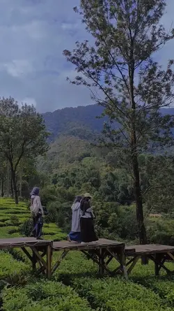 vlog puncak bogor
