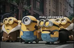 MAU JAKE