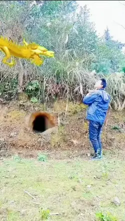 anak naga muncul