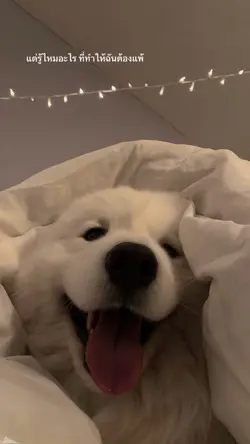 รอยยิ้มเล็กๆ😊