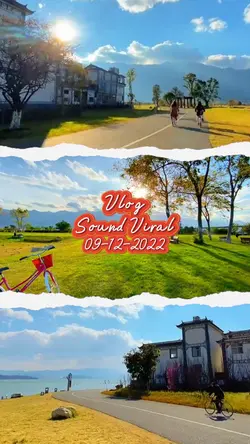 Vlog Lagu Viral 1209