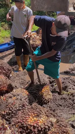 Suatu saat nanti