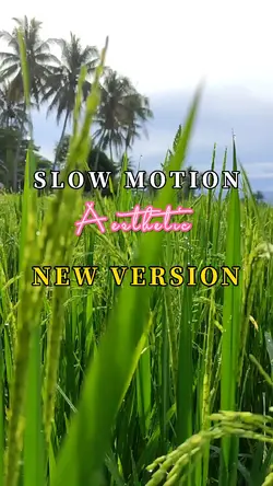 SLOWMO AESTHETIC