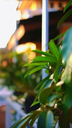 vlog aesthetic
