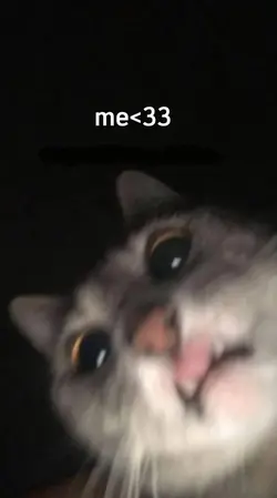 Me<33