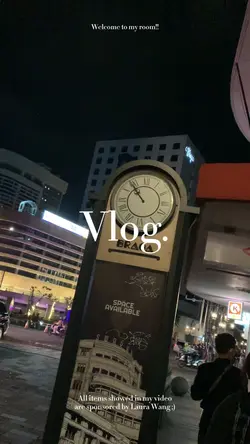 Mini Vlog