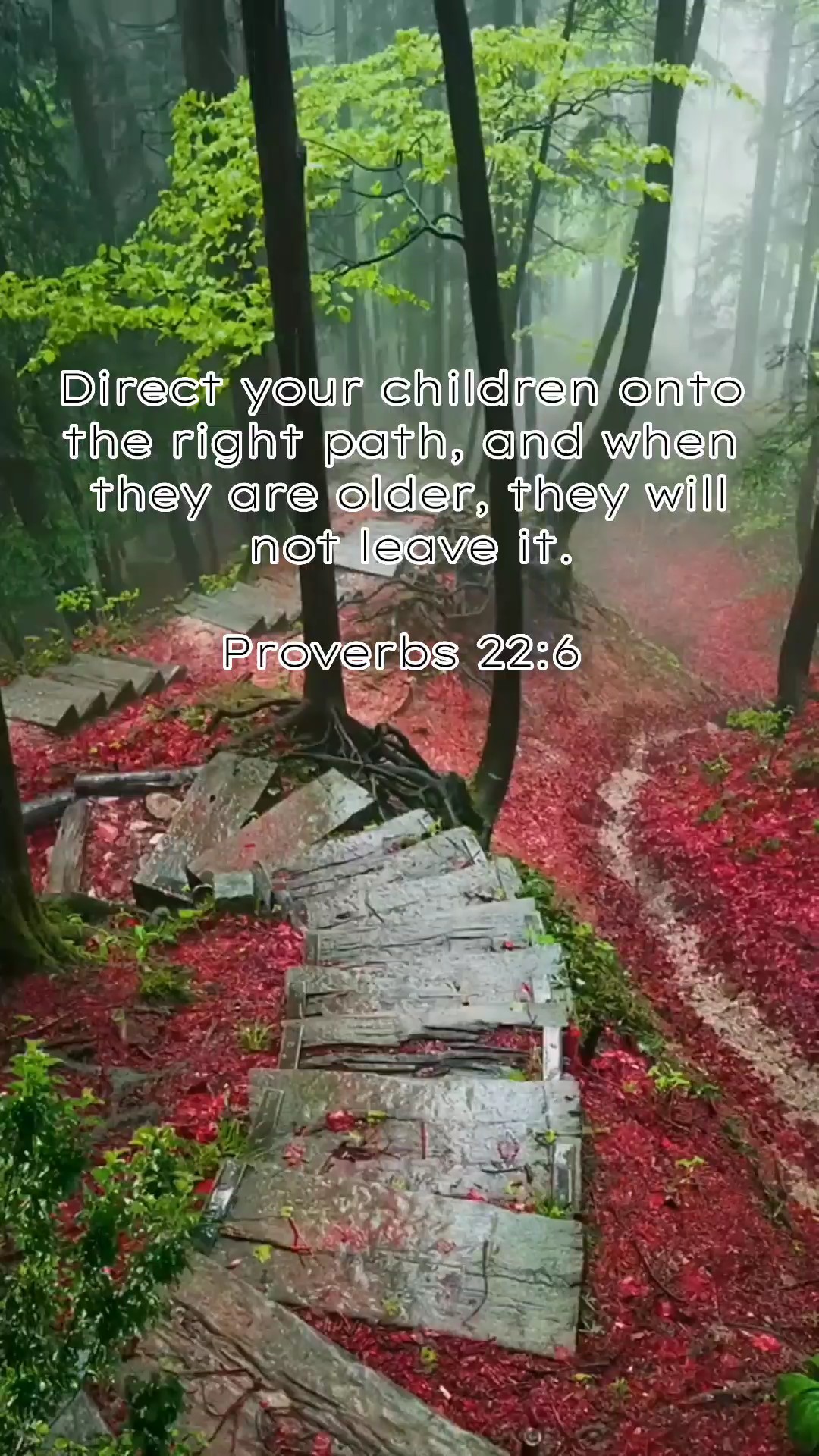 PROVERBIOS 22: 6