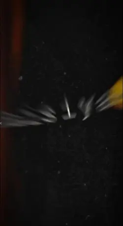 nxvinrxj Tamil songs