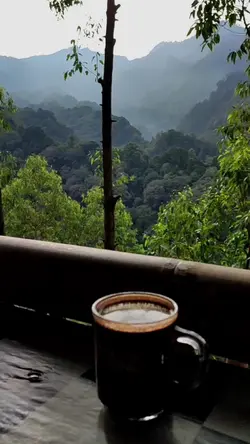 Semangat Pagi