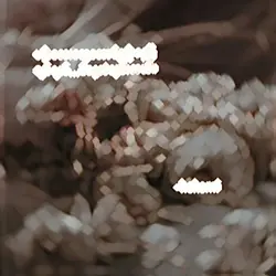 လွမ်းဒယ်ချစ်သူရယ်