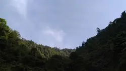 simple vlog