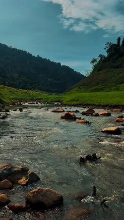 หล่นหายระหว่างทาง