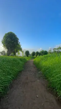 dari kejauhan 