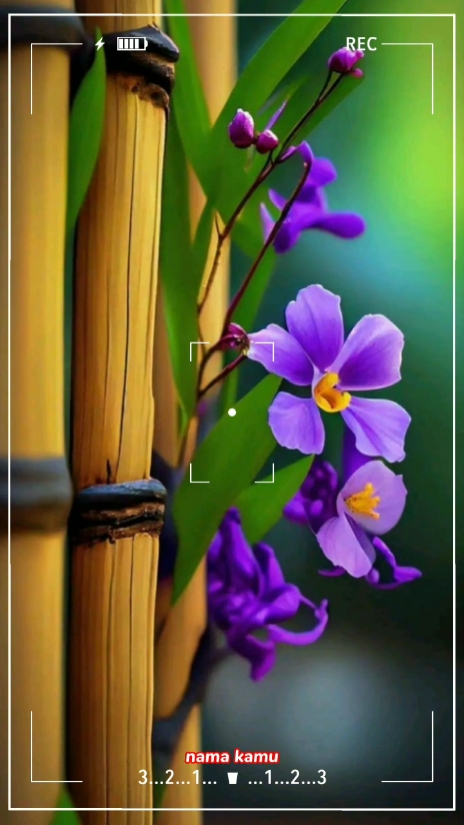 Meine Blumen