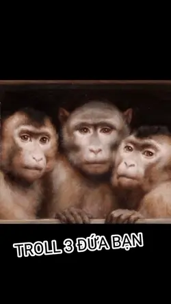 Troll 3 đứa bạn