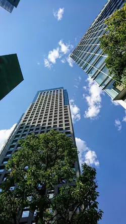 Milkshake @Showmusic