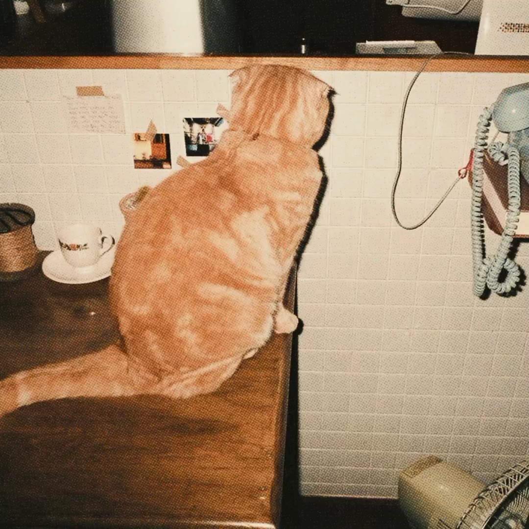 vintage