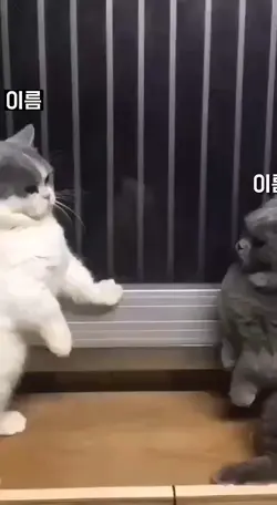 친구의 이룸을 적어주세요