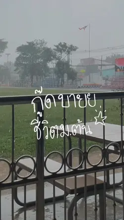 มอต้นมาแล้วว