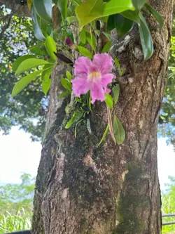 여행 다녀왔어요