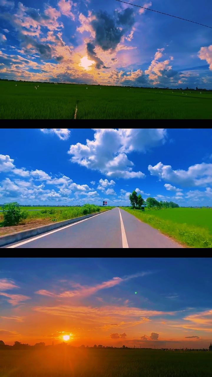 Chiều đồng lúa