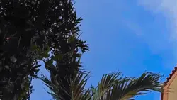 Pembuatan Tempe 