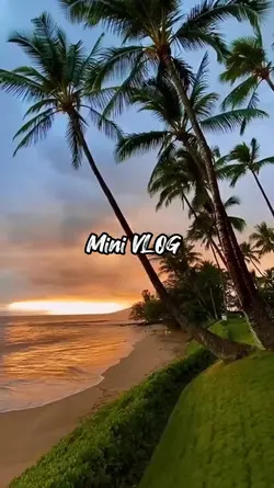 Mini VLOG 26.12