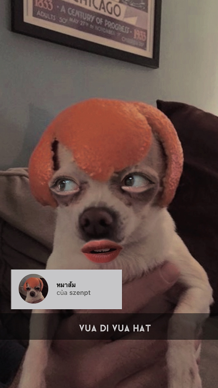 Filter Instagram 