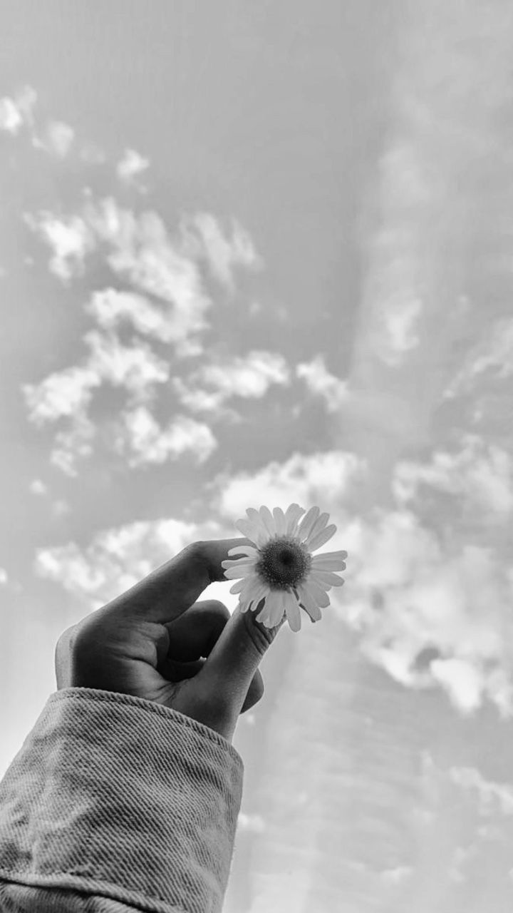 B & W ke Warna