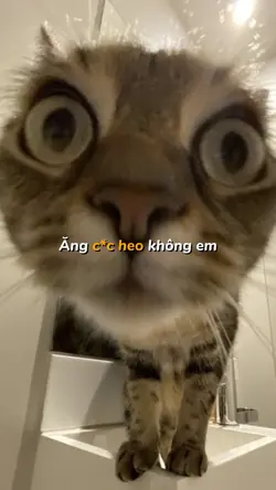 2 ảnh