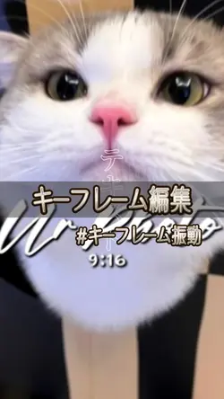 キーフレーム編集