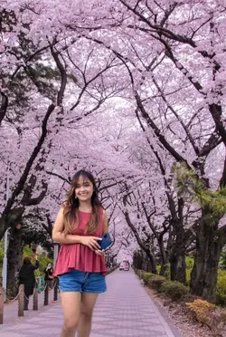 LetsVisit some place