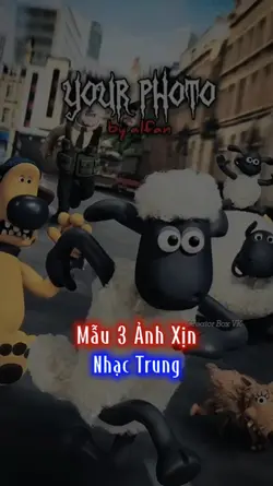 Mẫu 3 Ảnh