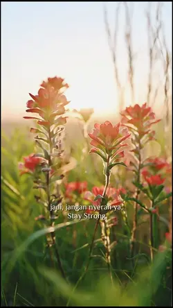 Aesthetik Vlog Text