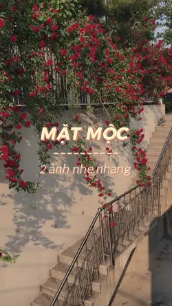 Muốn tặng anh cả 