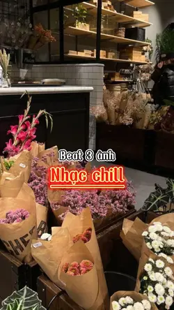 Beat 3 ảnh 🐇