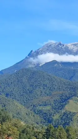 Sayang Kinabalu