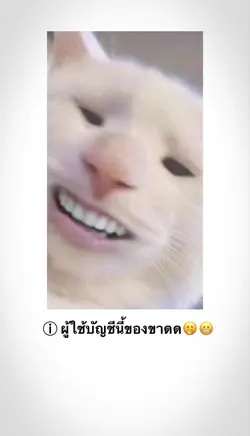 ⁵⁵⁵⁵⁵⁵⁵⁵⁵⁵⁵