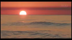 Can I just stay here