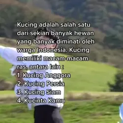 kucinta kamu :v