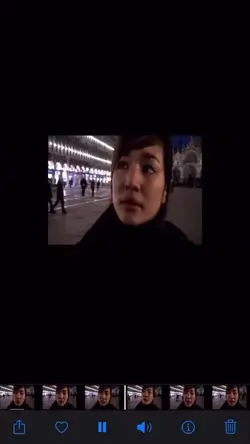 ฟีด
