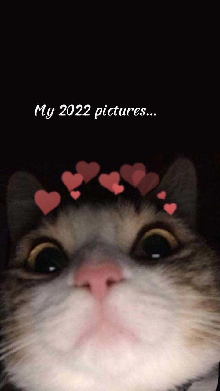 # My2022Pictures