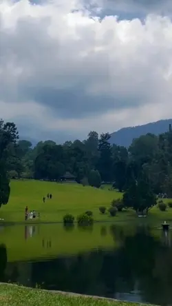 Sound Viral Estetik✨