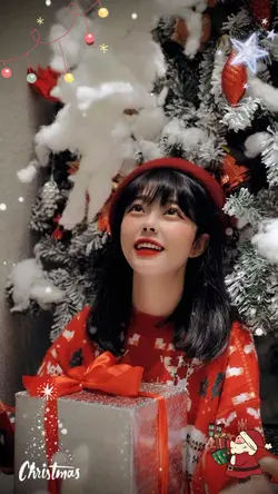MẪU NOEL