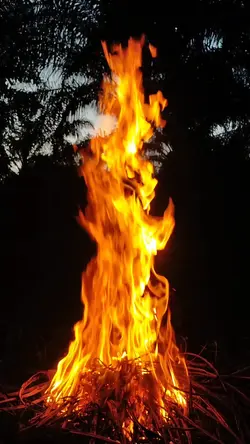 Bercerita didepan ny