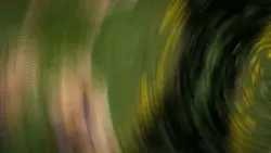 MẪU 2 ẢNH NGANG CHÁY