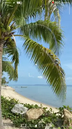 Family holiday