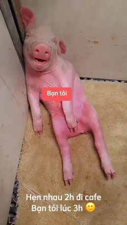 Cái nết ngủ bạn tôi