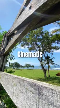 Cinematic