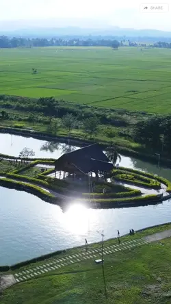 Lagu Aceh safira
